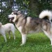MIKI and MATTIE