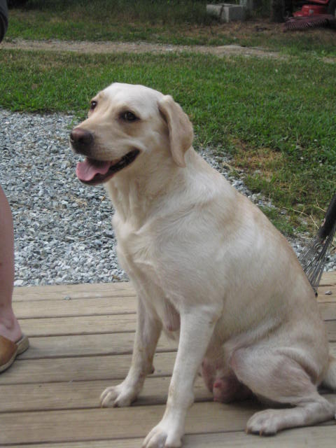 MATTIE